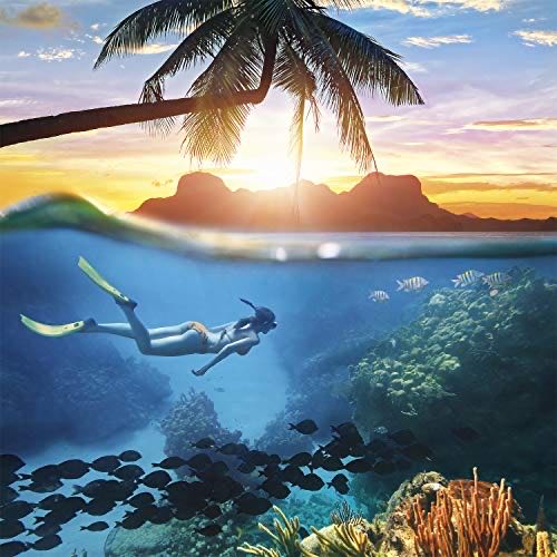 Can’t Bear To Look