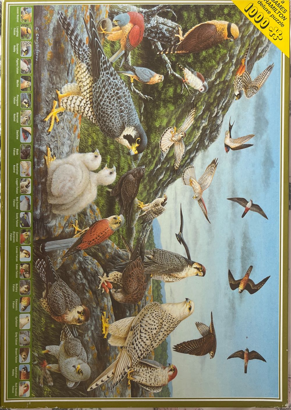 Flower Pictures Piece Jigsaw Puzzle