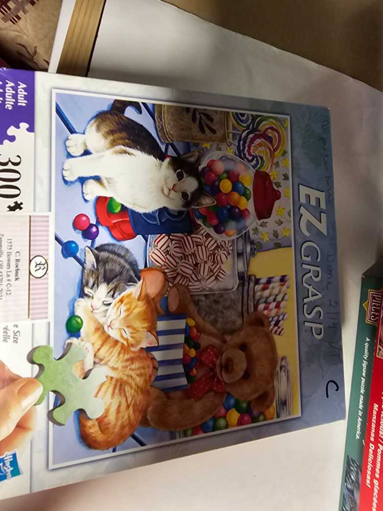 Siege Du Château Fort