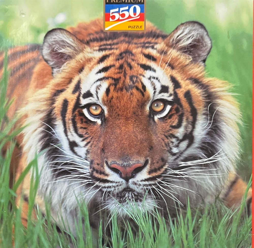 Comical Map Of Dorset Artwork By Tim Bulmer Piece Puzzle For Adults Large Puzzle 66cm X 50cm In Size. Challenging To Complete But Fun And Humorous