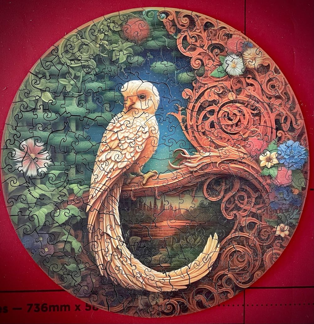 Calendar 2024 “The Bustle Of Marche”