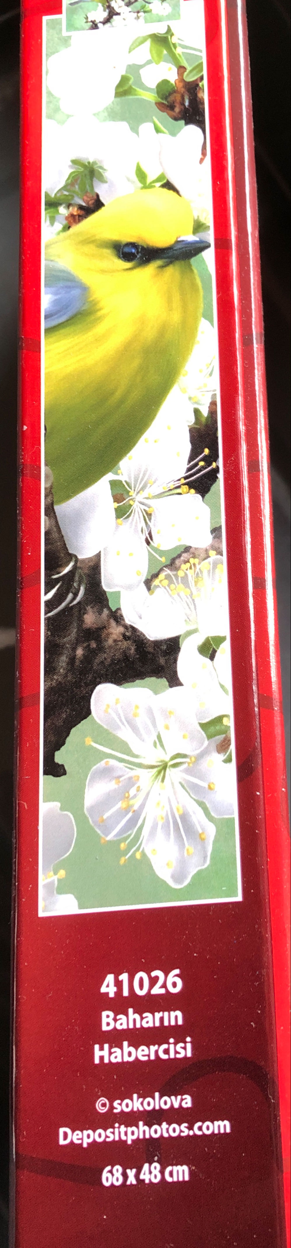 Nova Nova Herald Of Spring De - Nova Puzzle puzzle collectible [Barcode 8699375063363] - Main Image 2