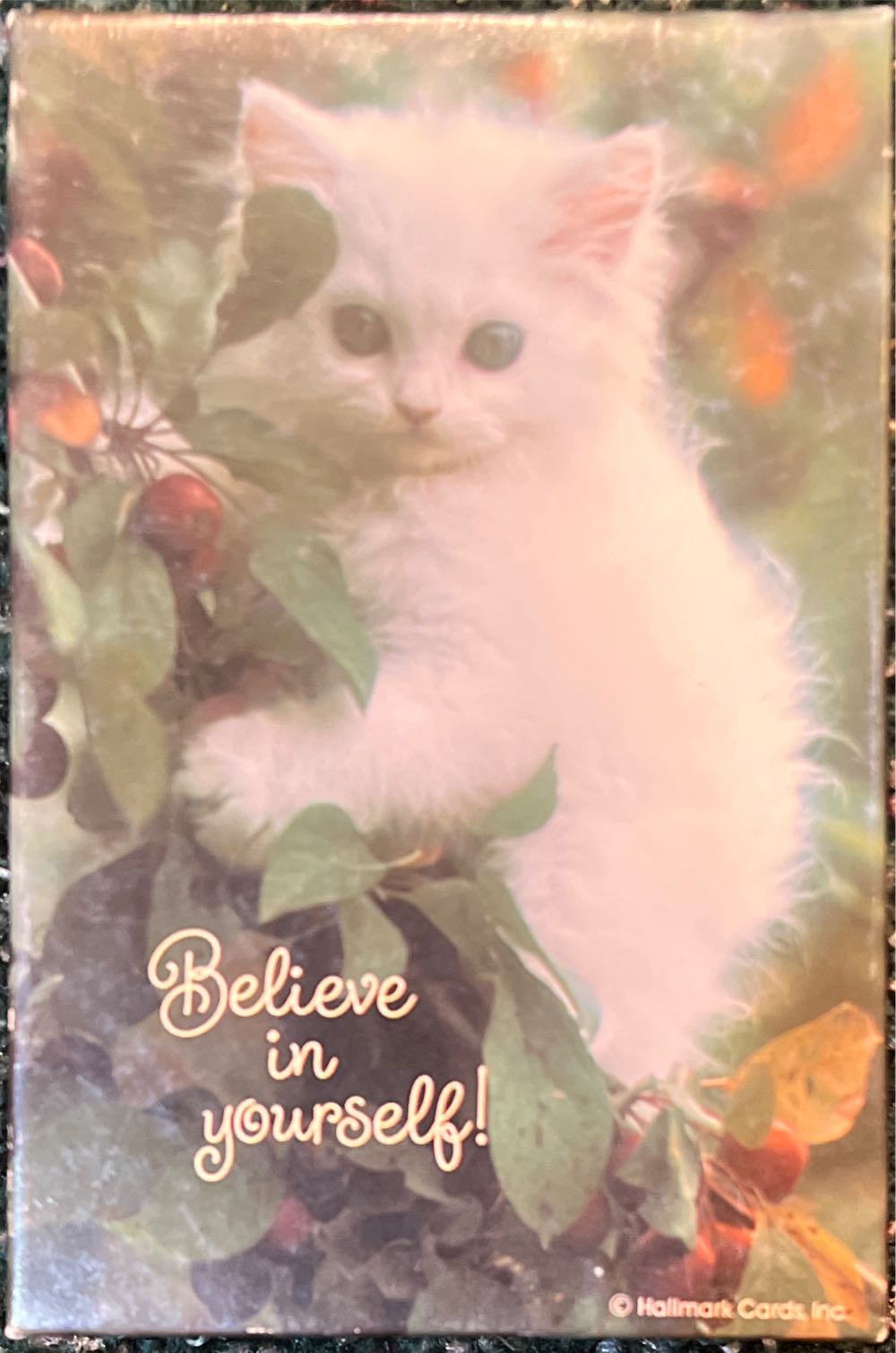 Holly Jolly Holidays