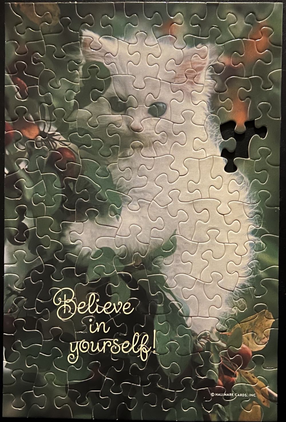 Believe in yourself!-SOLD - Springbok - Hallmark Cards, Inc. puzzle collectible - Main Image 3