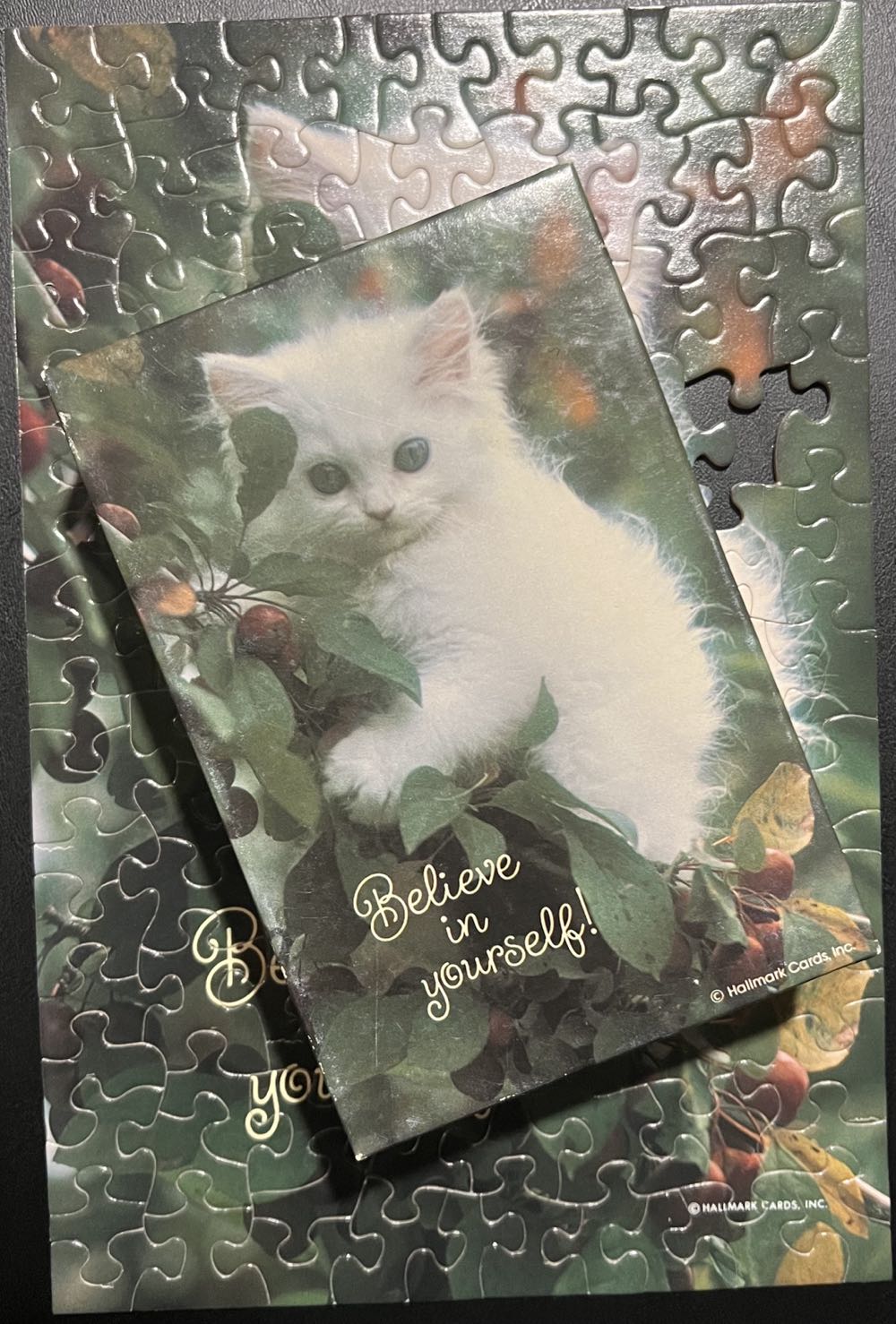 Believe in yourself!-SOLD - Springbok - Hallmark Cards, Inc. puzzle collectible - Main Image 4