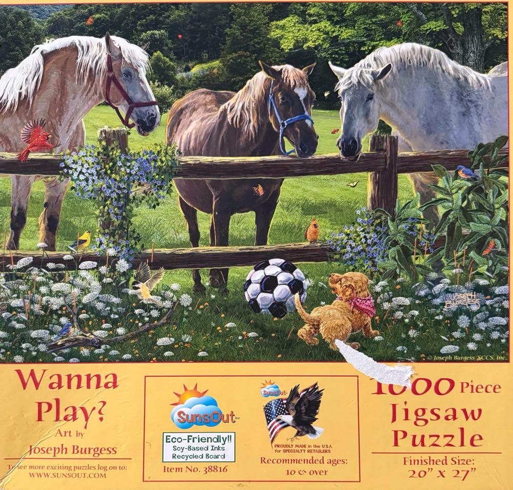 Wanna Play? - SunsOut puzzle collectible [Barcode 796780388161] - Main Image 2