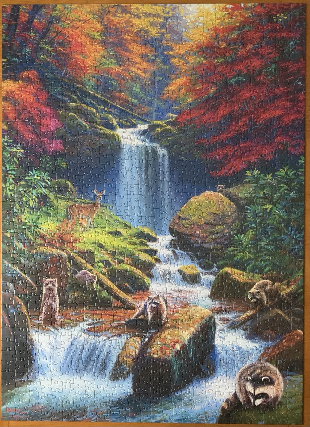 Mystic Falls In Autumn - Cobble Hill 🇺🇸 puzzle collectible [Barcode 625012400022] - Main Image 3