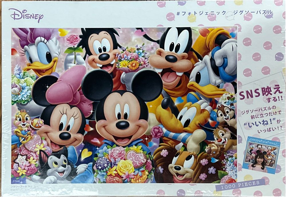 Leonardo Da Vinci The Last Supper Bluebird 1000 Piece Jigsaw