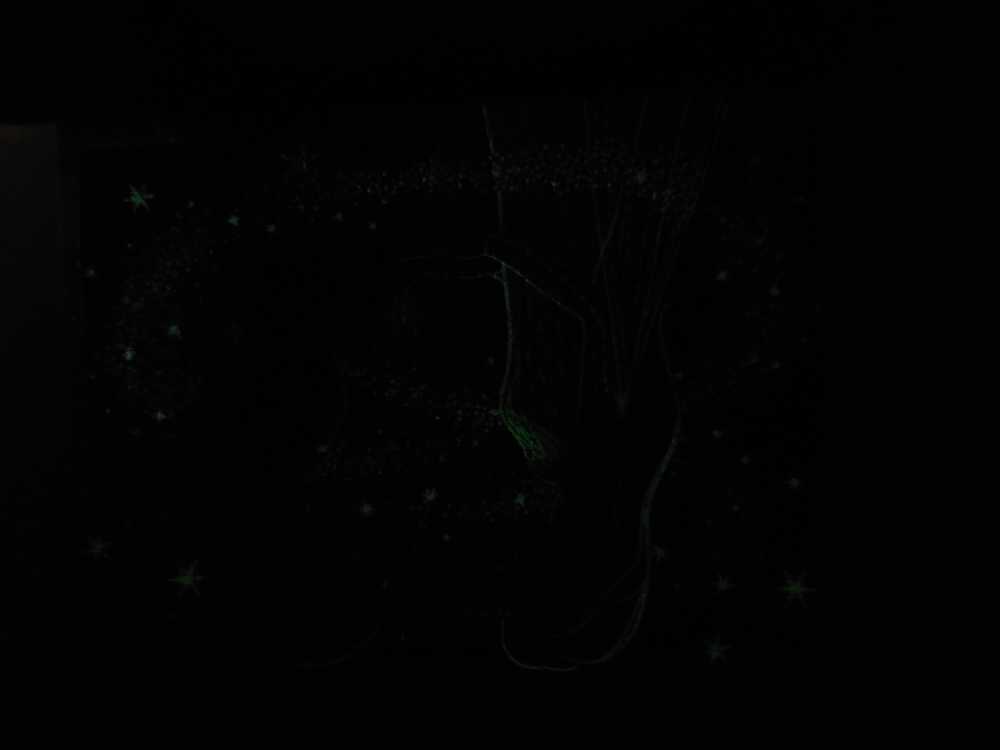 The Sisters Anna and Elsa - Ravensburger puzzle collectible [Barcode 4005556805310] - Main Image 4