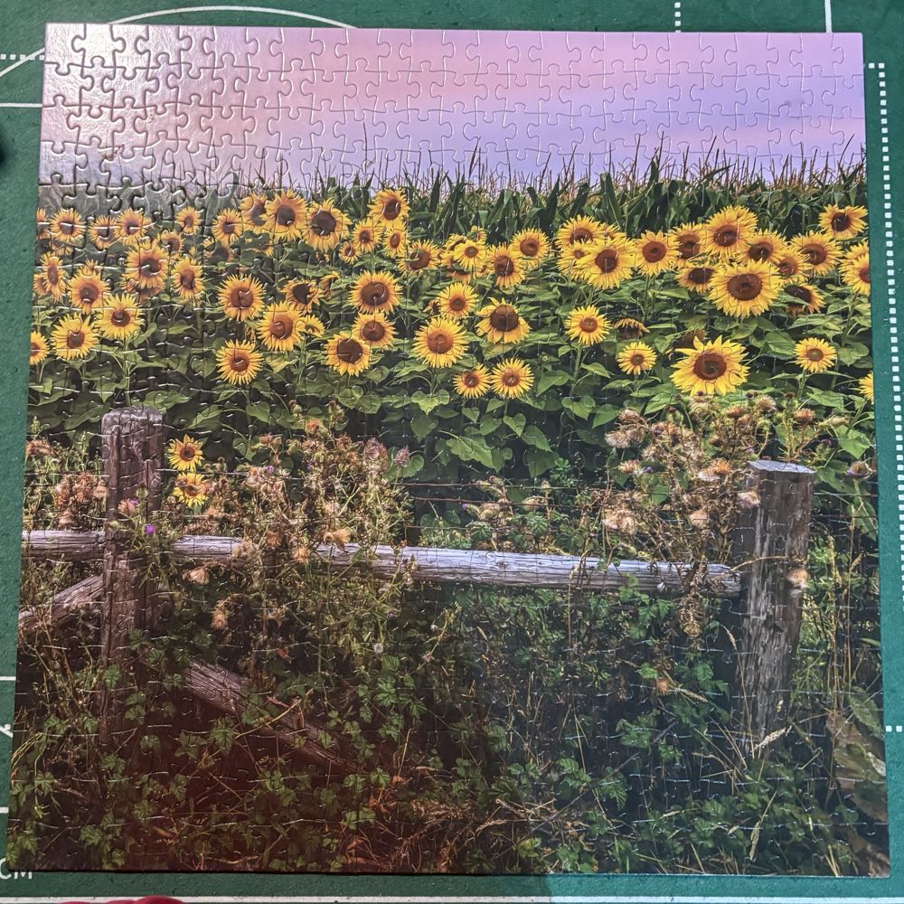 Sunflowers At Sunset - Galison puzzle collectible [Barcode 9780735371217] - Main Image 2