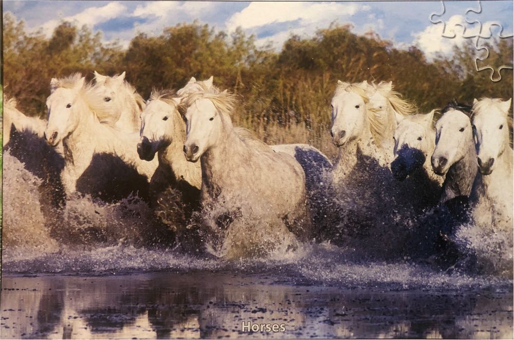 Horses 🟦 - Puzzle Pleasure puzzle collectible - Main Image 2