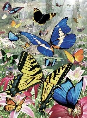 Butterflies of the world🟦 - Ravensburger puzzle collectible [Barcode 4005556160389] - Main Image 2
