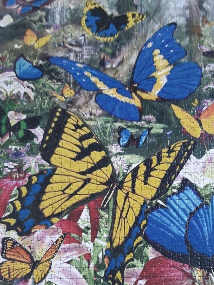 Butterflies of the world🟦 - Ravensburger puzzle collectible [Barcode 4005556160389] - Main Image 3