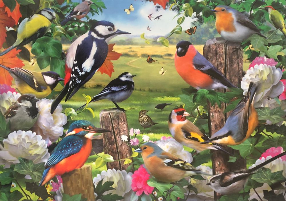 Birds In The Garden 🟦 - King puzzle collectible [Barcode 8710125560120] - Main Image 2