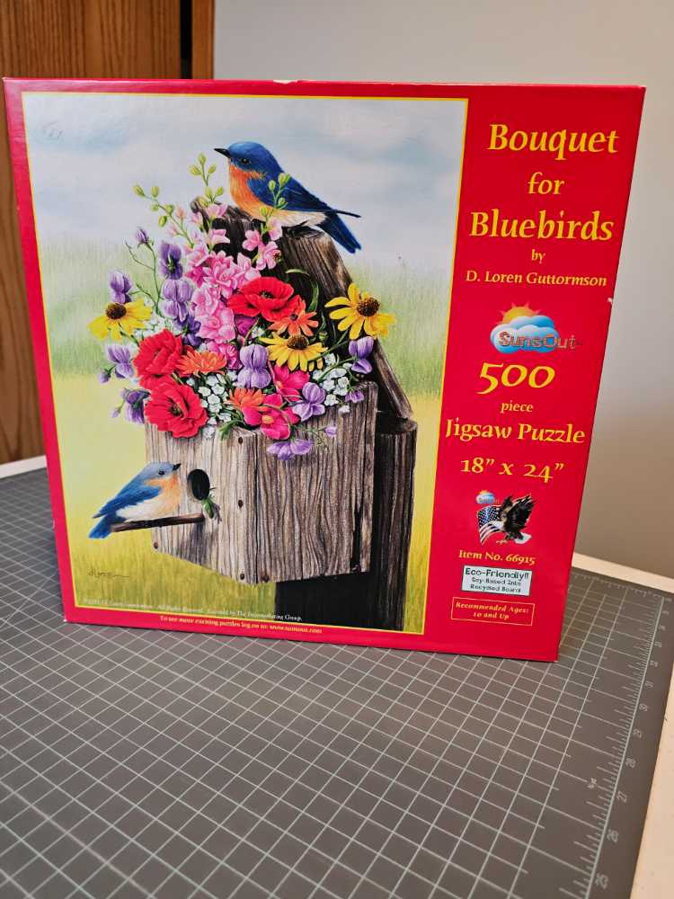 Disney. Panorama.Disneyland Paris