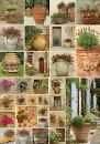 Clay Pots With Flowers - Piatnik puzzle collectible [Barcode 9001890545542] - Main Image 1