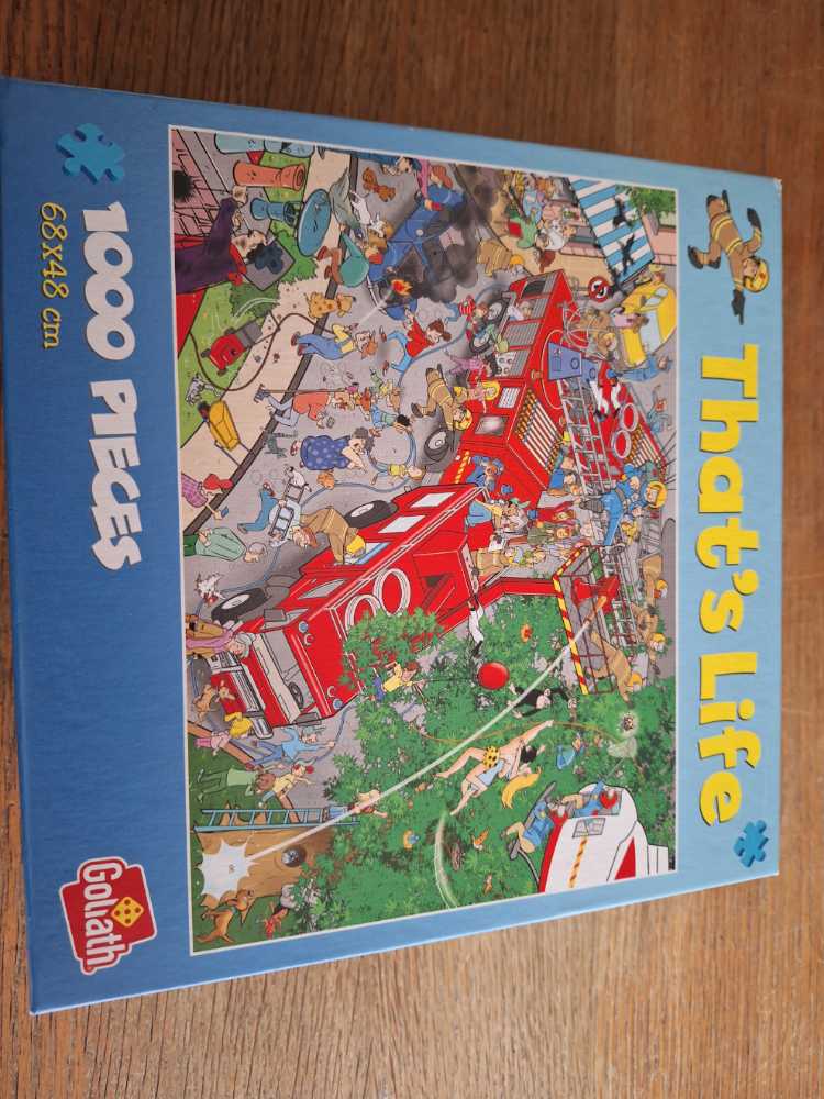 A Profusion Of Posies - Jane Wooster Scott