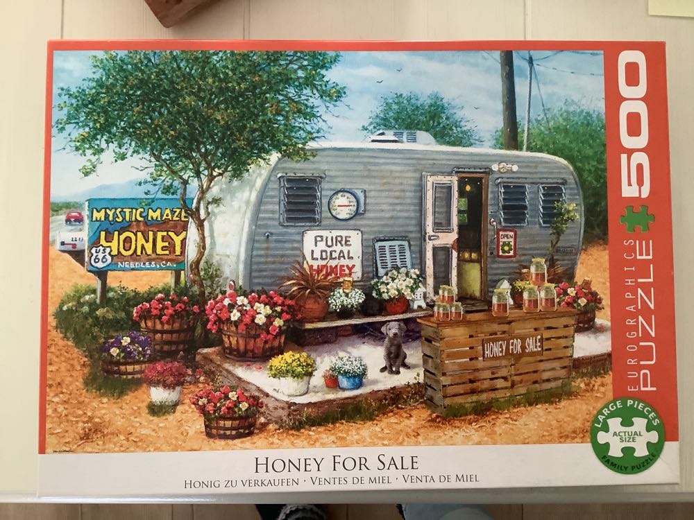 Butterflies Of Florida