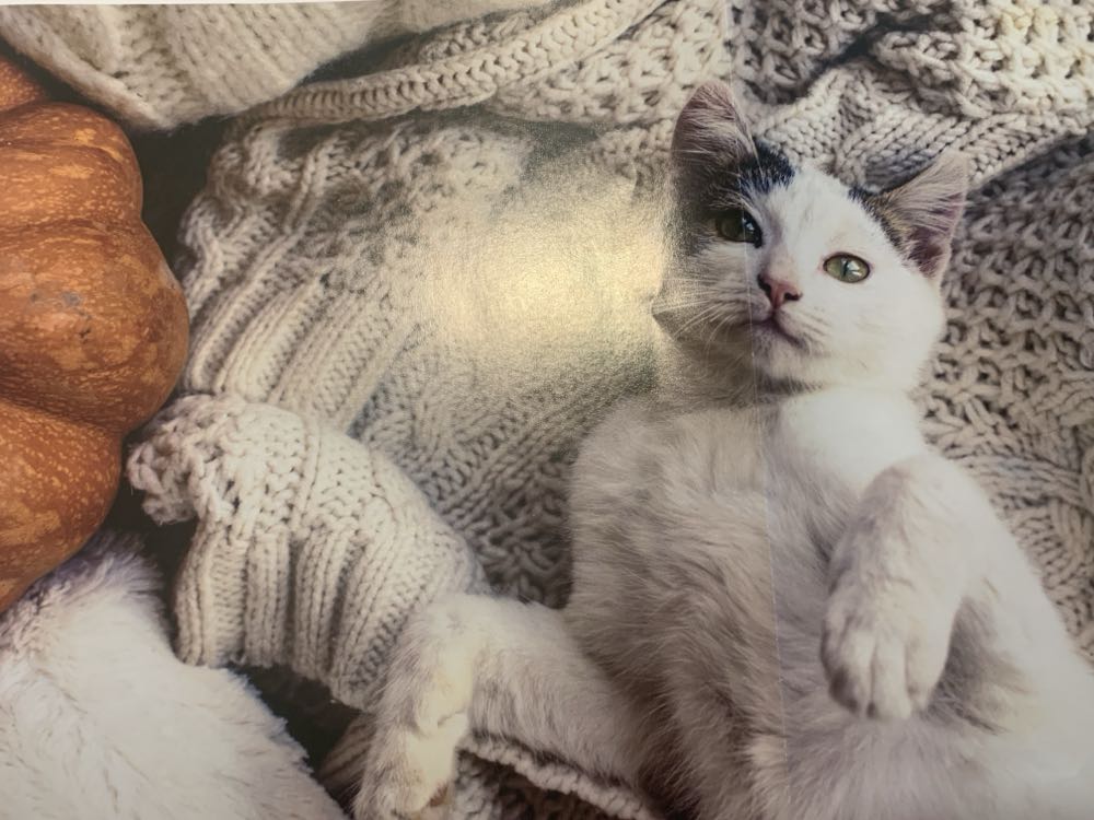 The Art If Dan Hatala