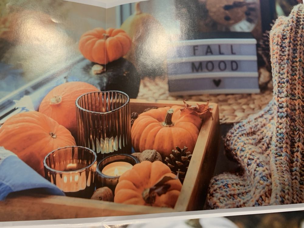 23” X 28” From The Inside Noah’s Ark Pc Sunsout