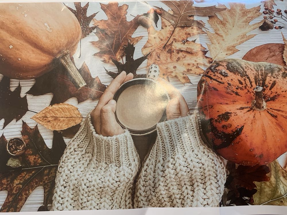 Olivia Gibbs Go Camping