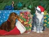 Disney Frozen II 2x500