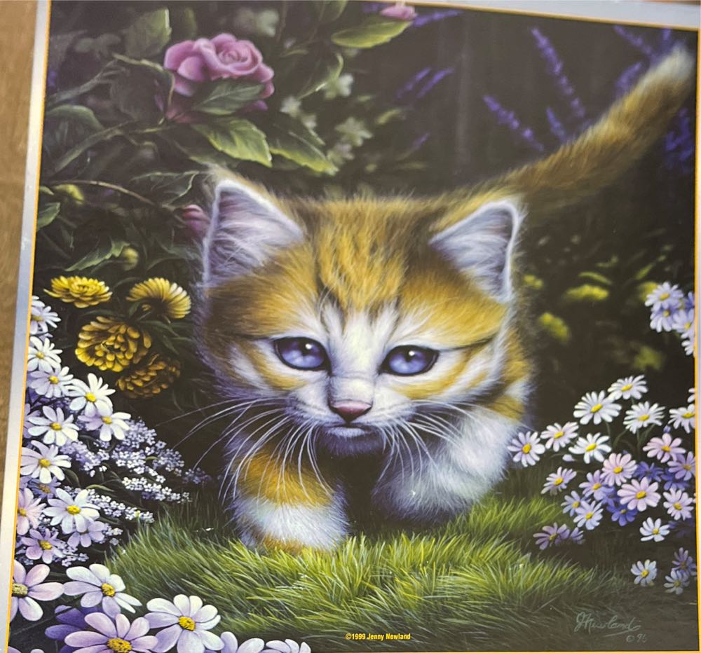 Fall In Central Park