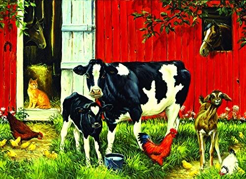 Colorful Seashells 🔴