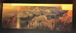 Cherry Blossom at the Northern Lights