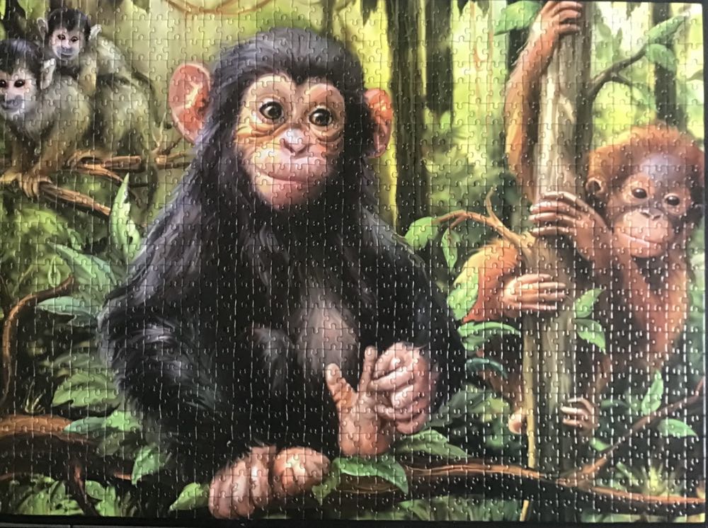 Monkeys in the Jungle - FINDit puzzle collectible - Main Image 2