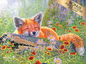 Olsen Family Reunion - Seth