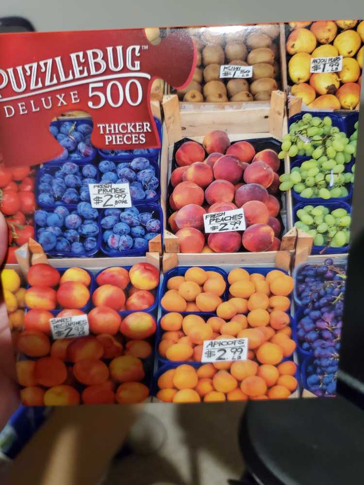 Summer Village Stream