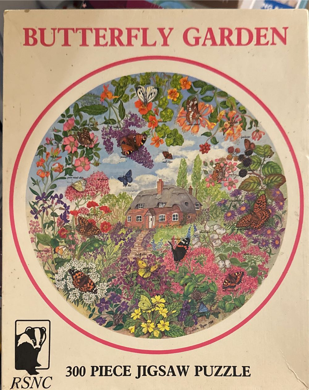 Holdson Travel Abroad: Streets Of Pisa 1000pc Jigsaw Abroad 1000pc