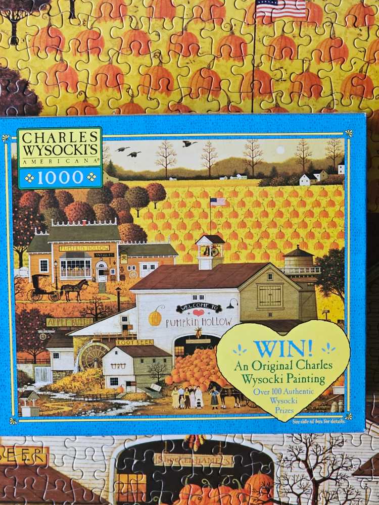 Fairies And Dragonflies