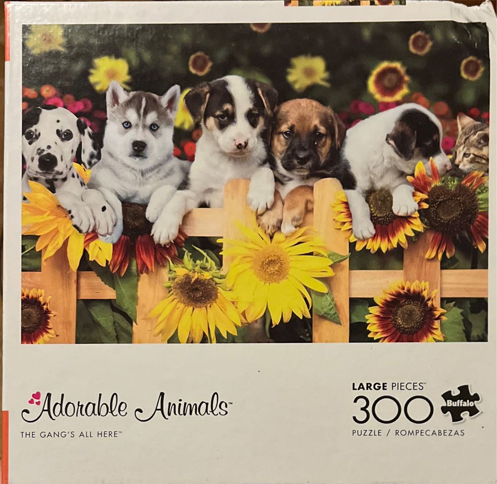 Balloons Over Colorful Buidlings