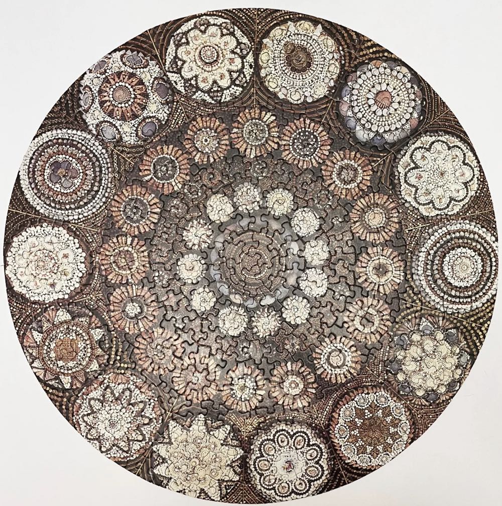 Sea Shell Symmetry -493, 10/23/23 - Springbok puzzle collectible - Main Image 3