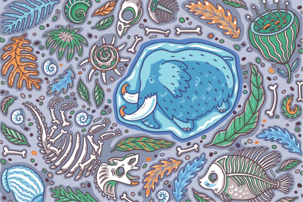 Goliath Wacky World Waterworld ’wacky Waterworld’