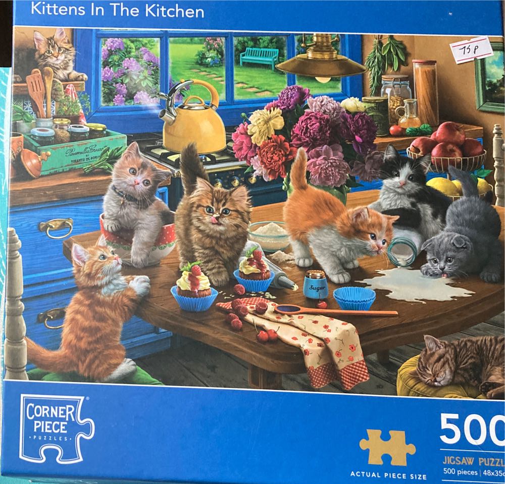 Wish Upon A Bookshop 250 Piece Wooden Jigsaw Wentworth