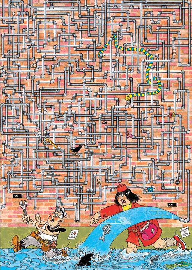 Wild Whimsy Jungle Magical