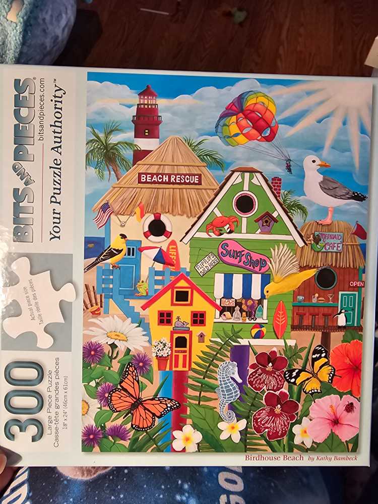 The Art Of Caplan Dor