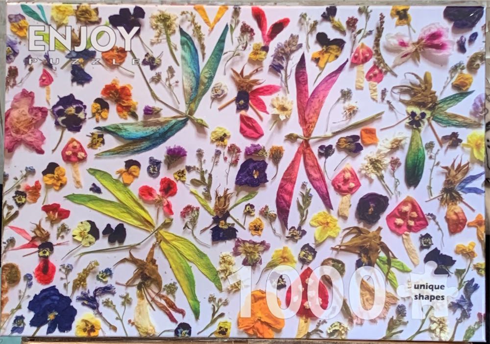 Birds From Around the World