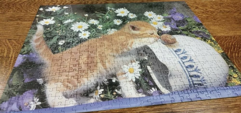 Curiosity - Ravensburger puzzle collectible [Barcode 4005556141043] - Main Image 2