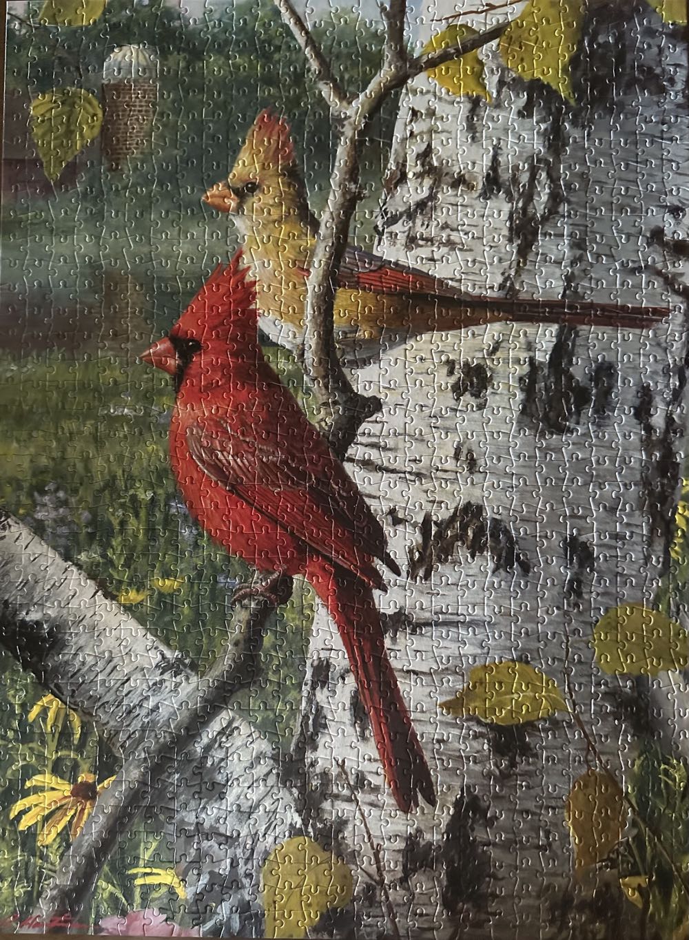 Cardinals And Birch - Buffalo puzzle collectible - Main Image 2