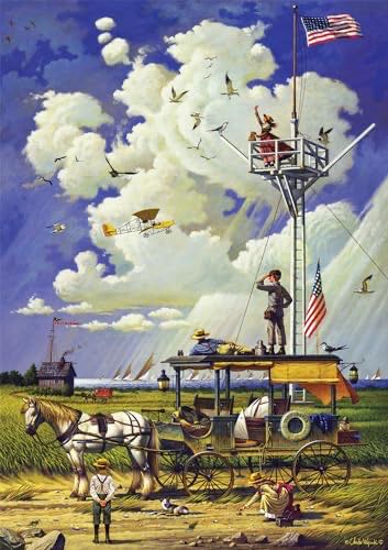 Fairies And Dragonflies