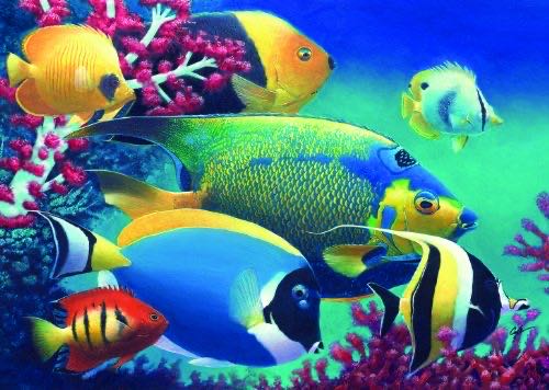 Elegant Birdhouse - L👀k For