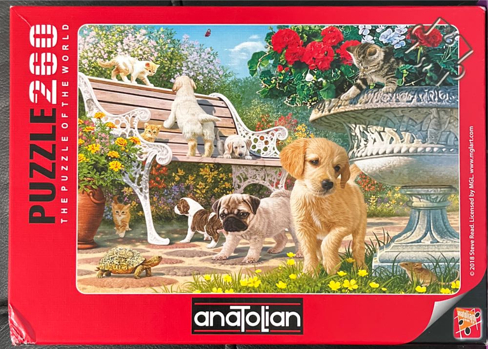 Americana Cat Lovers Special