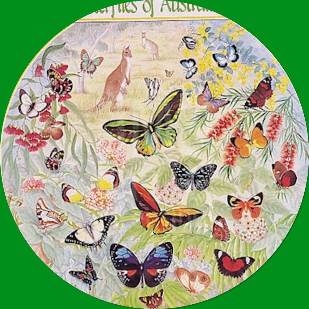 Butterflies Of Australia Scannen  puzzle collectible - Main Image 2