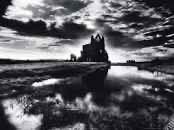 Lots Of Pots By Tracy Hall Jigsaw Puzzle Piece ...