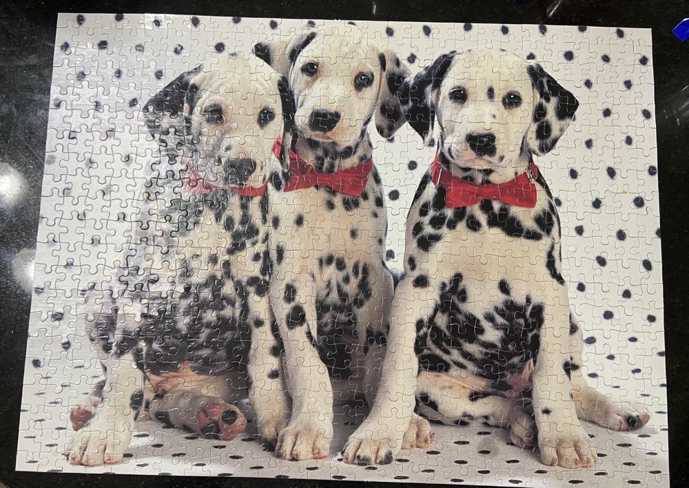 Meet The Aliens: Nymira And Dantar