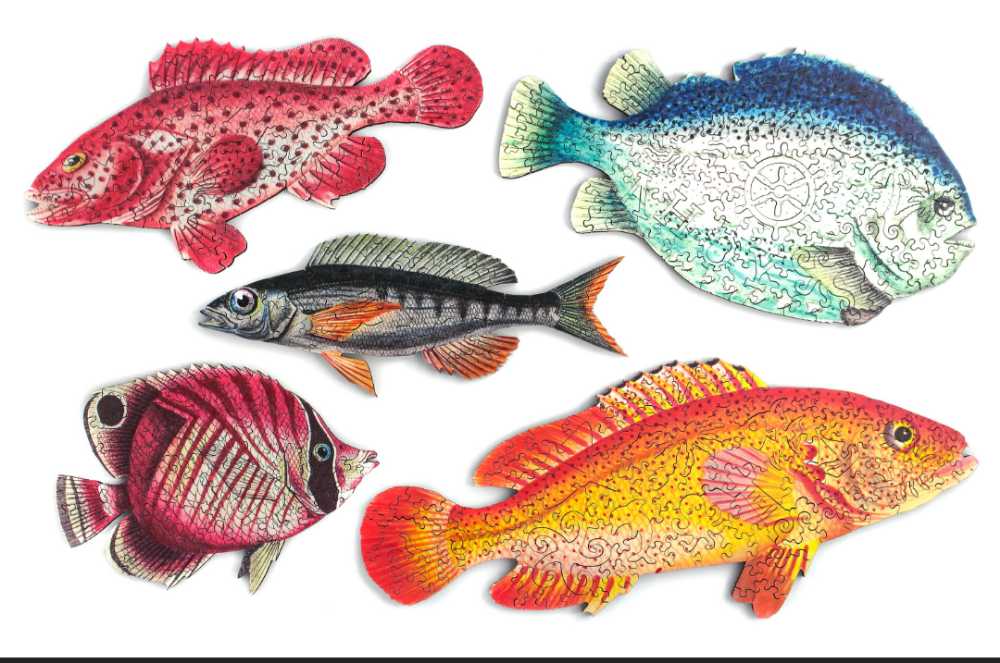 Crowned Canvas: Mask Majesty